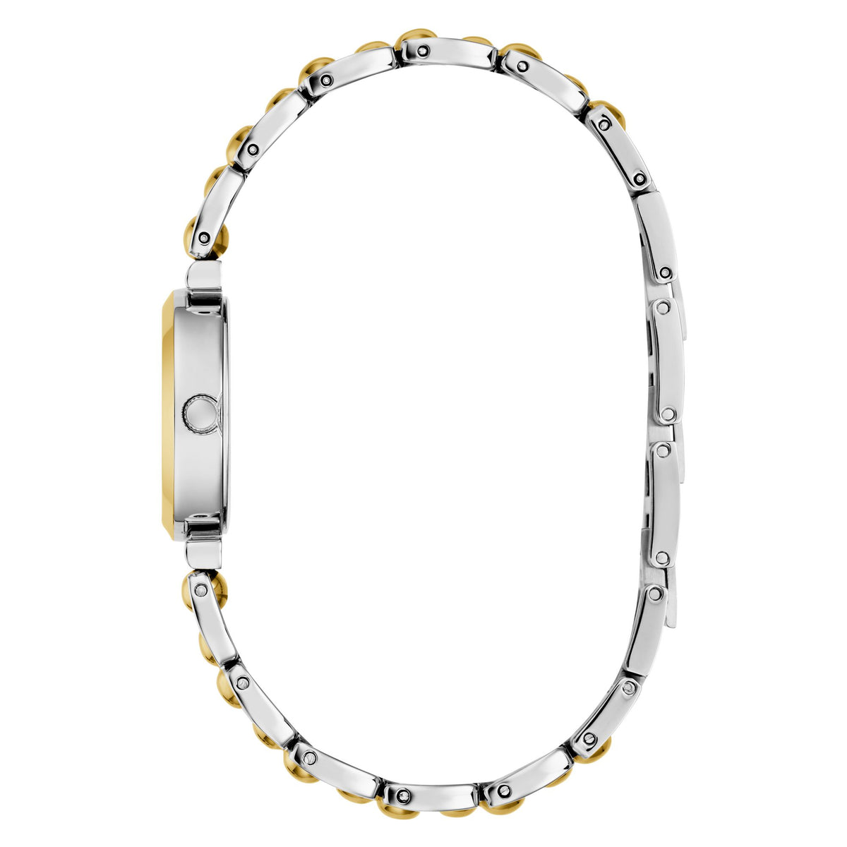 LEENA Two-Tone  Green Dial  Women's Watch