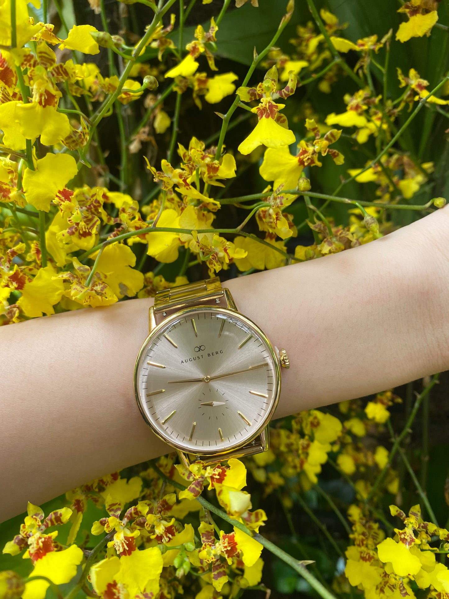 Serenity Link 40mm Champagne Gold Watch