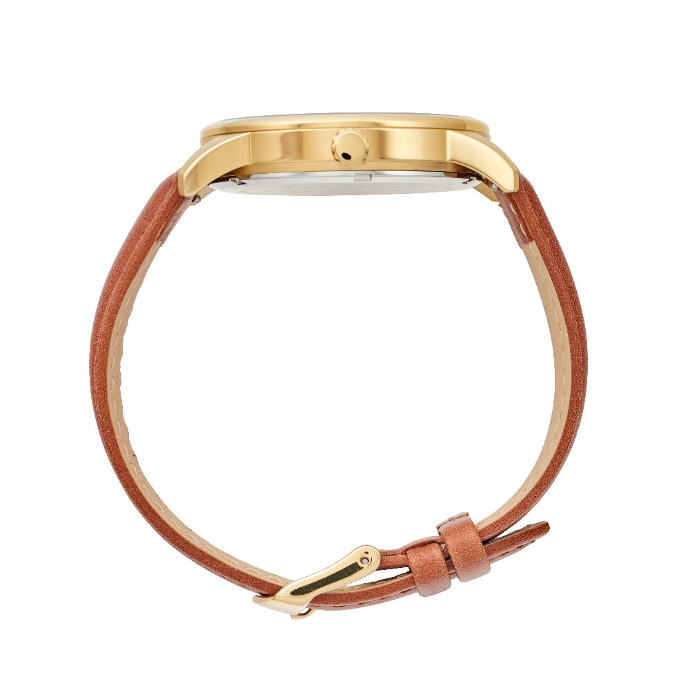 Maxum x Taylor Steele - Green Dial, Gold Tone Case & Brown Leather Band